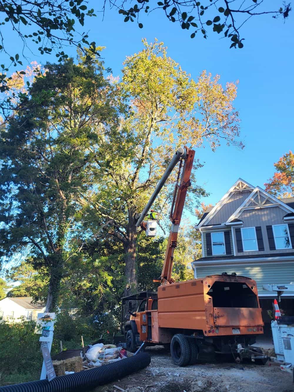 Hero image for East Coast Trimmers Tree Service LLC